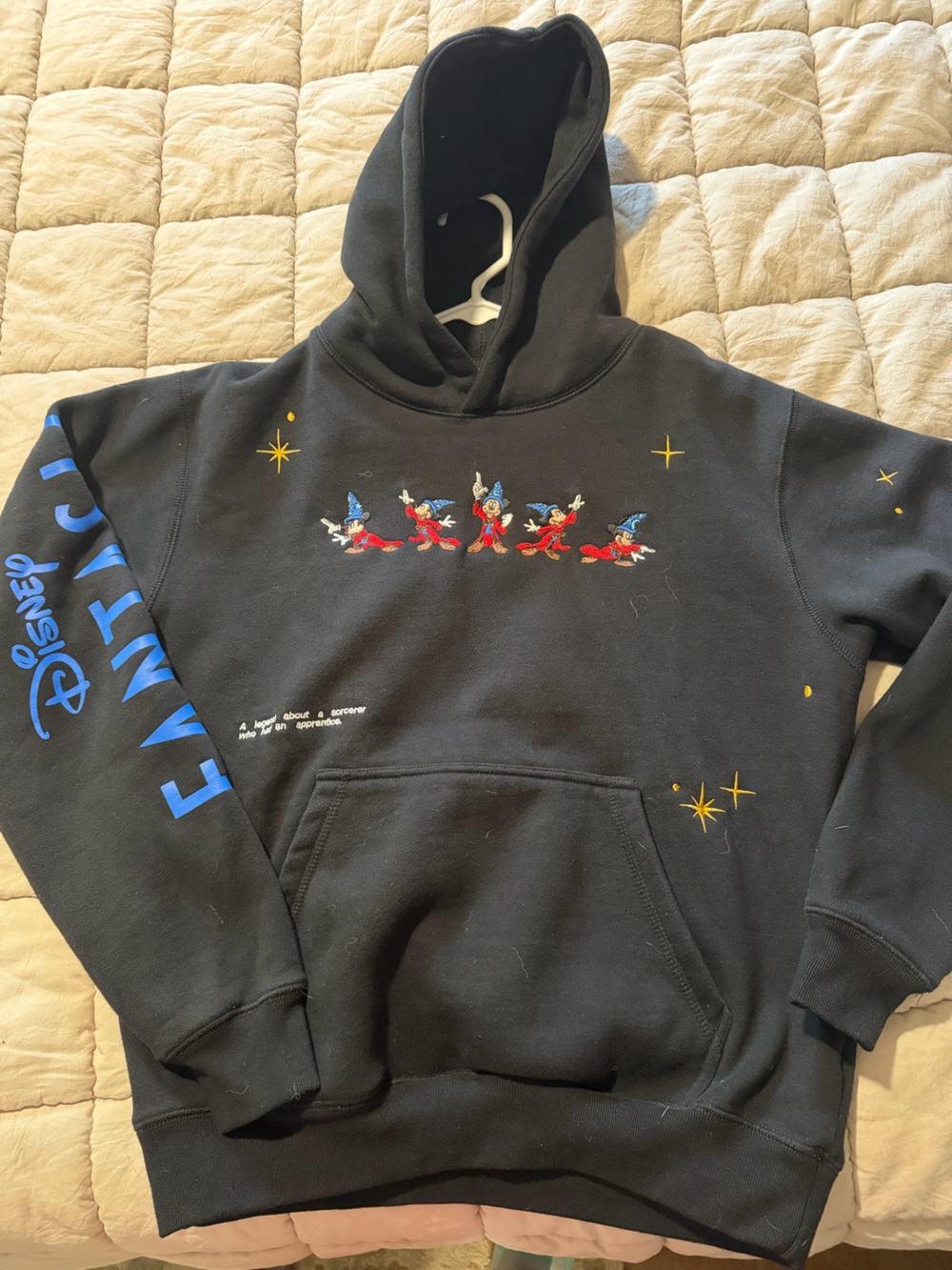 Fantasia hoodie